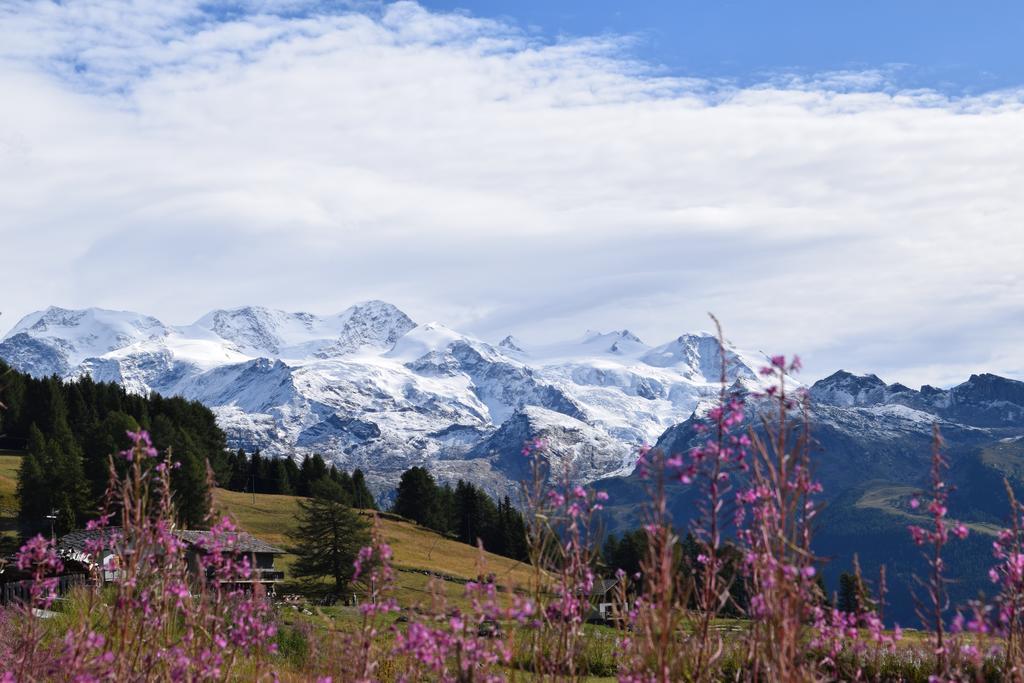 Le Rocher Hotel Champoluc Extérieur photo